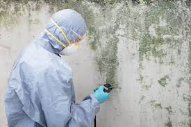 Best Mold Documentation for Insurance Claims  in Medina, OH